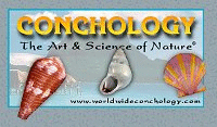 worldwideconchology.com