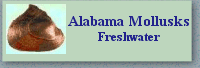 Alabama Mollusks - Freshwater