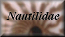 Nautilidae