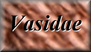 Vasidae