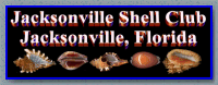 Jacksonville Shell Club Home Page