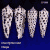 Conus nigromaculatus